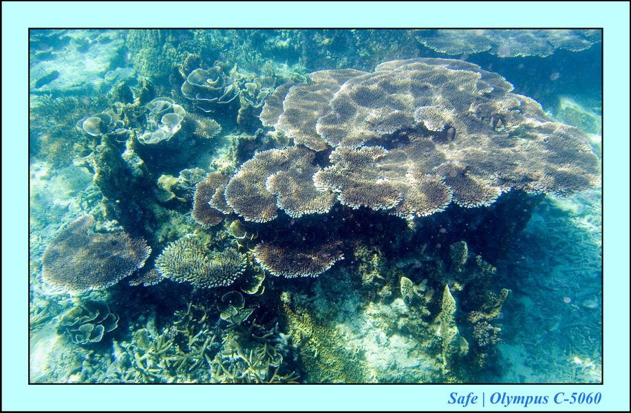 2008 - 07 - Leng Tengah - 069